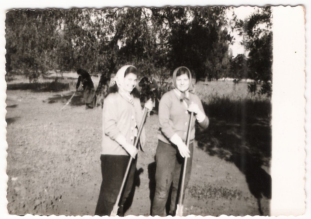 Foto storica donne in campagna durante la raccola olive