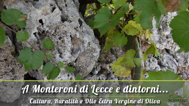 A Monteroni di Lecce la vendita dell'olio extravergine del Salento