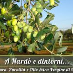 Vendita Olio Extravergine di oliva a Nardò in Puglia, nel Salento