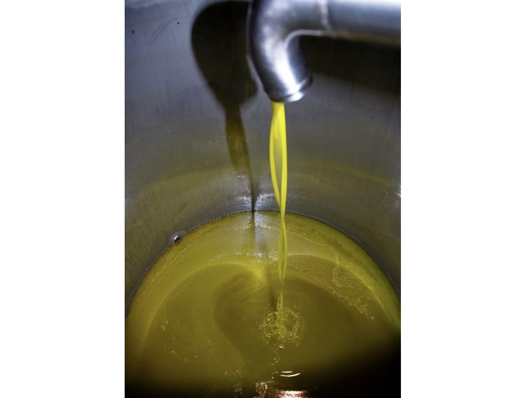 Chiarificazione olio extravergine